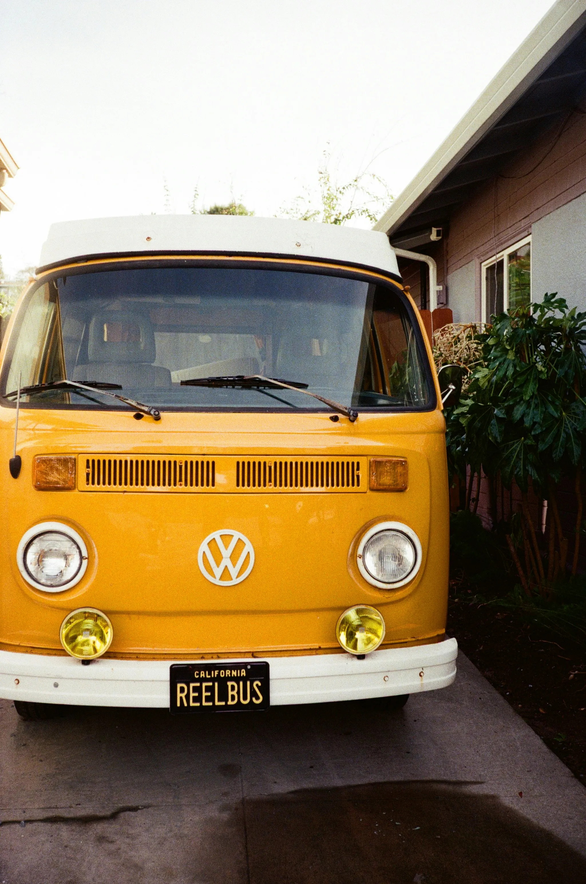 Placeholder Image and Some Alt Text